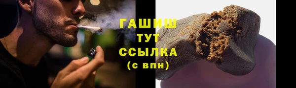 PSILOCYBIN Переславль-Залесский